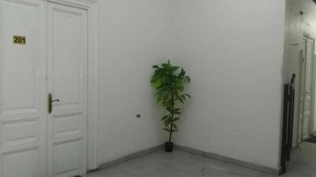 New Safari Hostel Cairo Exterior foto